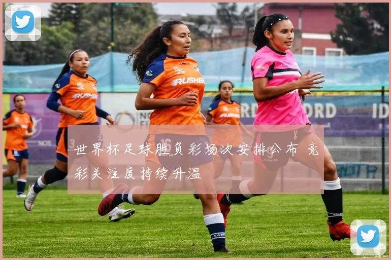 世界杯足球胜负彩场次安排公布 竞彩关注度持续升温