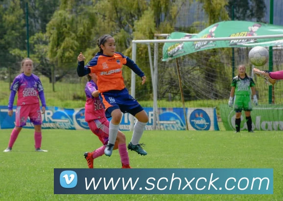 世界杯官方网络平台服务体系